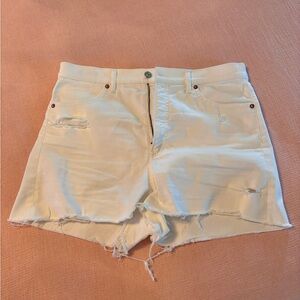 EXPRESS MOM Shorts